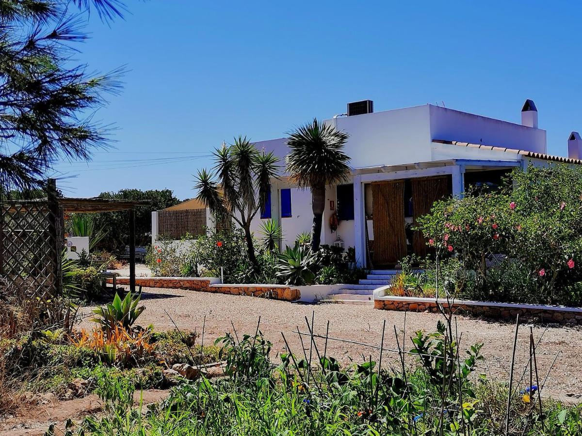 San Francisco Javier Ca N'Antonia Formenteraヴィラ エクステリア 写真