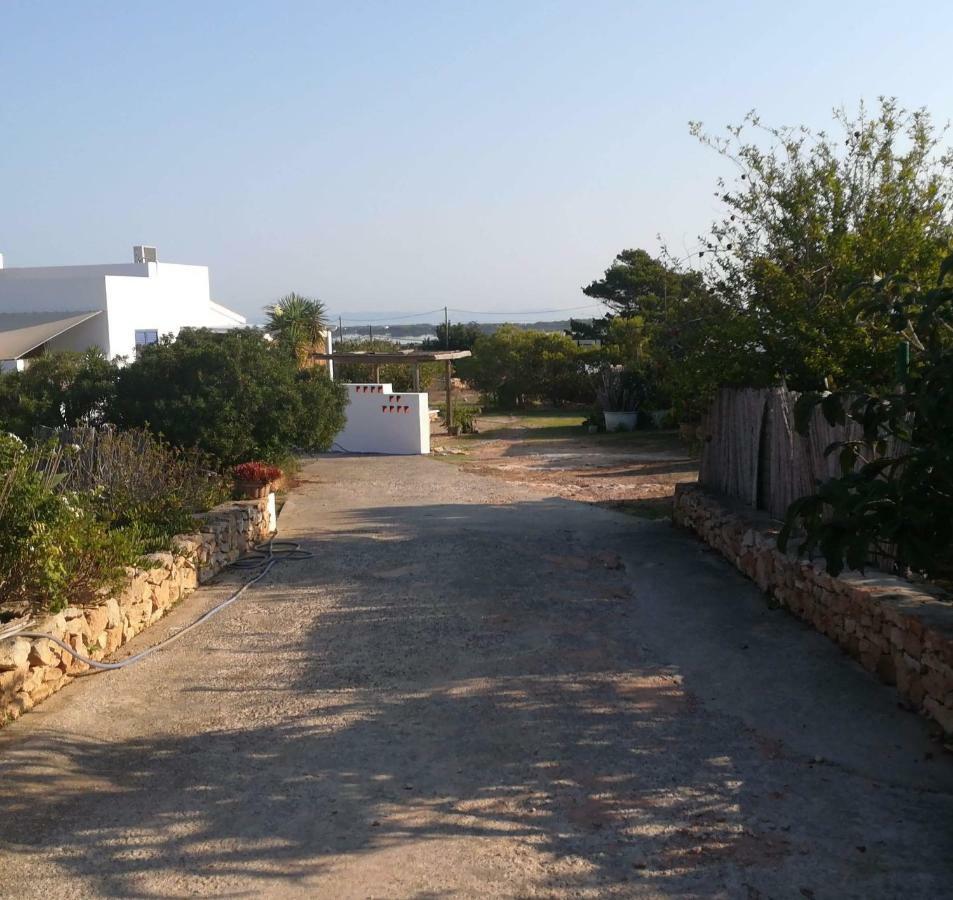 San Francisco Javier Ca N'Antonia Formenteraヴィラ エクステリア 写真