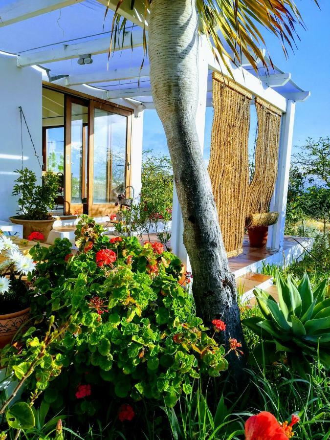 San Francisco Javier Ca N'Antonia Formenteraヴィラ エクステリア 写真